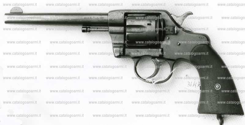 Pistola Colt modello New army 1901 (7520)