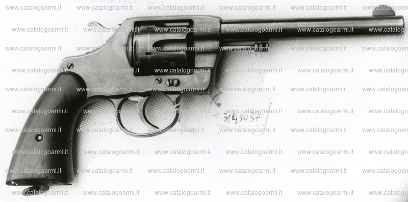 Pistola Colt modello New army 1903 (7532)