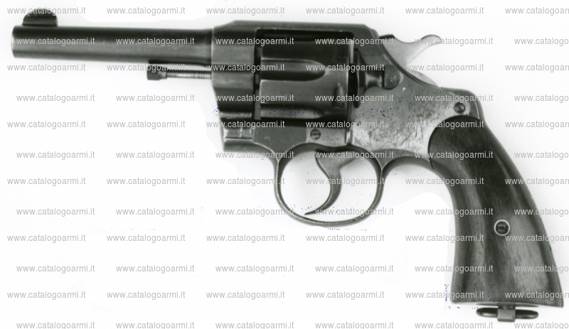 Pistola Colt modello army Special (7529)