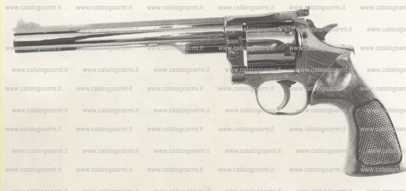 Pistola Dan Wesson modello 15-2 (1209)