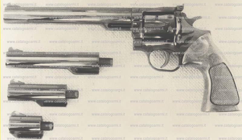 Pistola Dan Wesson modello 15-2 H Pac (1224)