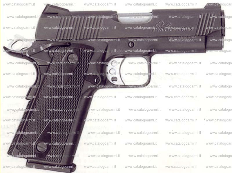 Pistola Enterprise Arms modello Tactical P 325 Plas (12163)
