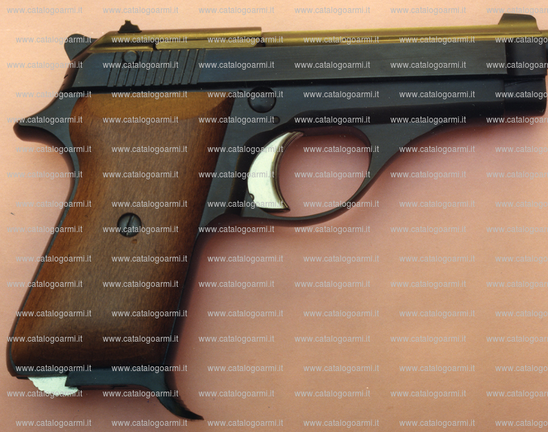 Pistola TANFOGLIO SRL modello GT 380 XE (6666)