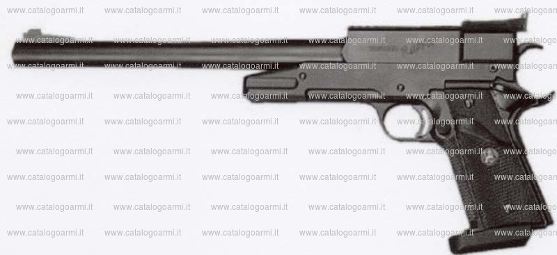 Pistola TANFOGLIO SRL modello Raptor (12239)