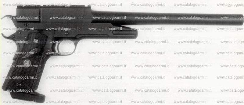 Pistola TANFOGLIO SRL modello Raptor (12239)