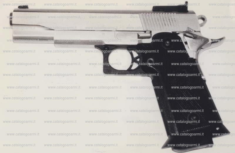 Pistola TANFOGLIO SRL modello STS standard 40 (tacca di mira regolabile) (10676)
