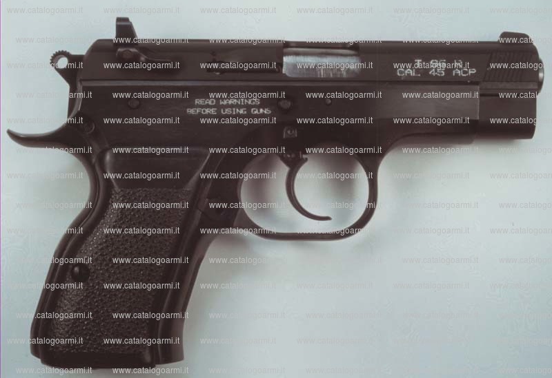 Pistola TANFOGLIO SRL modello T 96 r (10301)