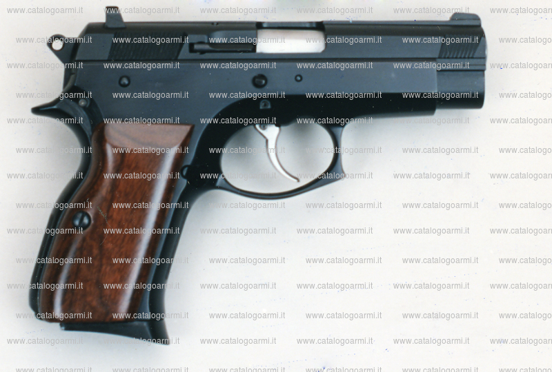 Pistola TANFOGLIO SRL modello TA 10 Compact (con finitura brunita o cromata) (7443)