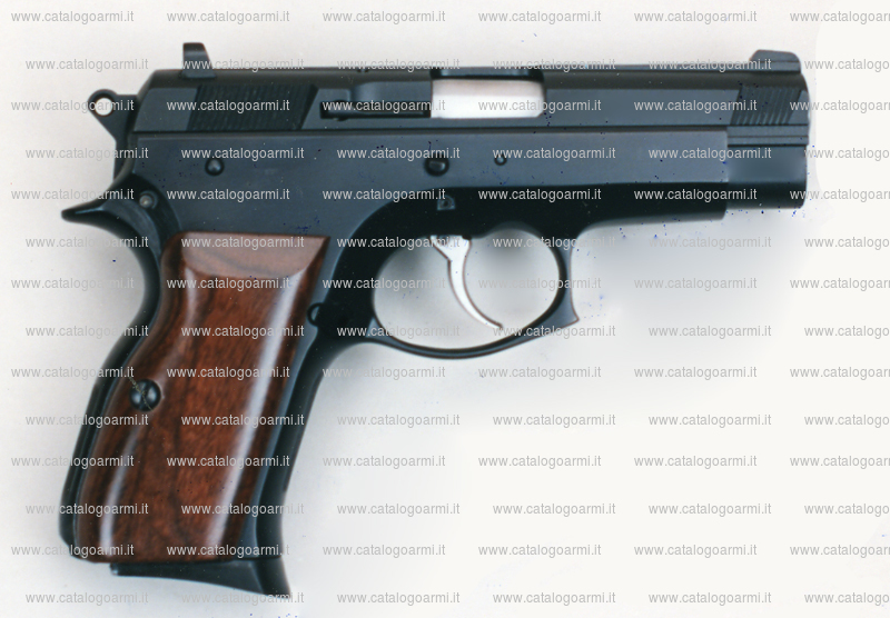 Pistola TANFOGLIO SRL modello TA 45 Compact (con finitura brunita o cromata) (7446)