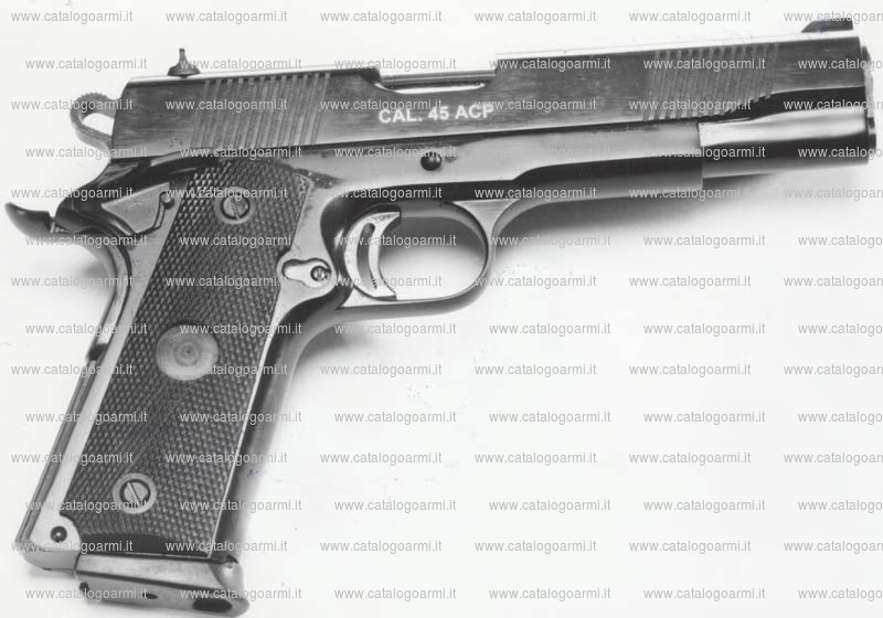 Pistola TANFOGLIO SRL modello witness 1911 (10996)