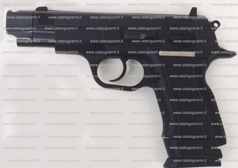 Pistola TANFOGLIO SRL modello witness P carry comp (10995)