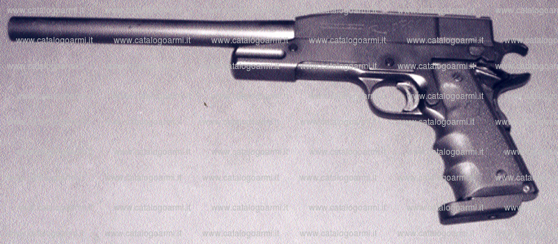 Pistola TANFOGLIO SRL modello Raptor (15278)
