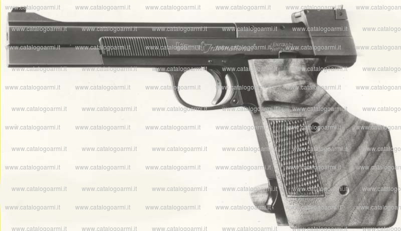 Pistola Hammerli modello 208 (Pistola standard) (45)