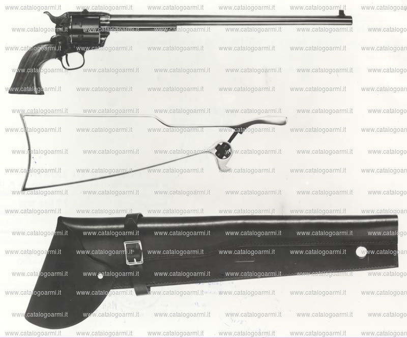 Pistola Jager modello 1873 (mira regolabile) (1474)