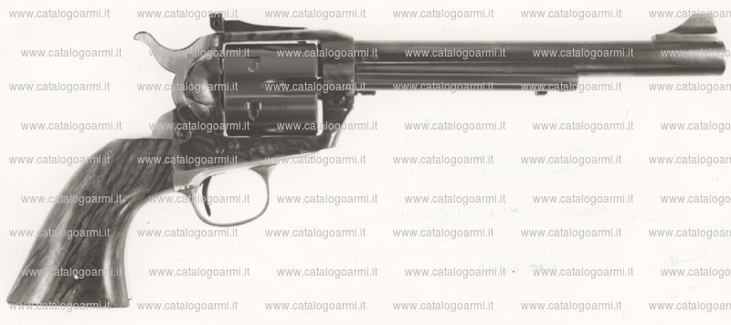 Pistola Jager modello 1873 (tacca di mira regolabile) (4565)