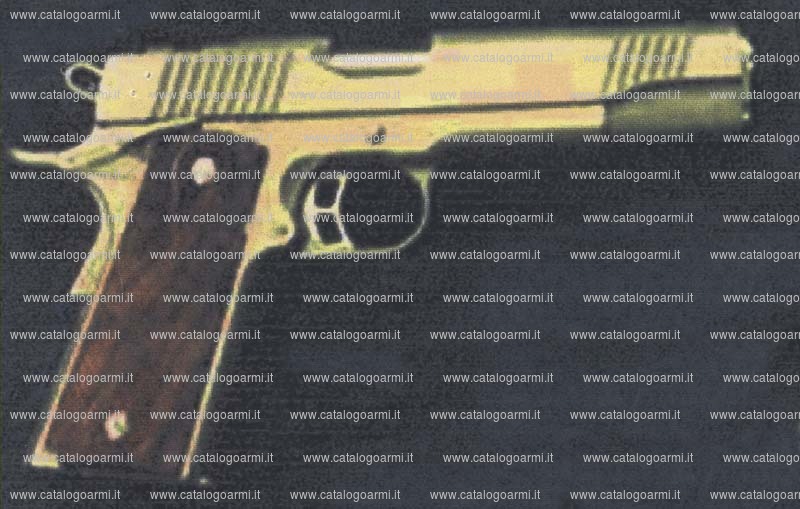 Pistola Kimber modello Gold match Stainless (tacca di mira regolabile) (11917)