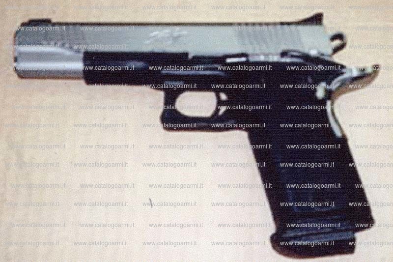Pistola Kimber modello Polymer (11956)