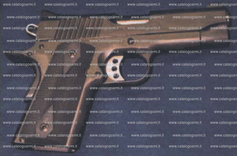 Pistola Kimber modello Ultra carry (11592)