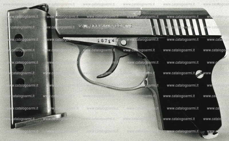 Pistola L. W. Seecamp modello 32 inox (7081)