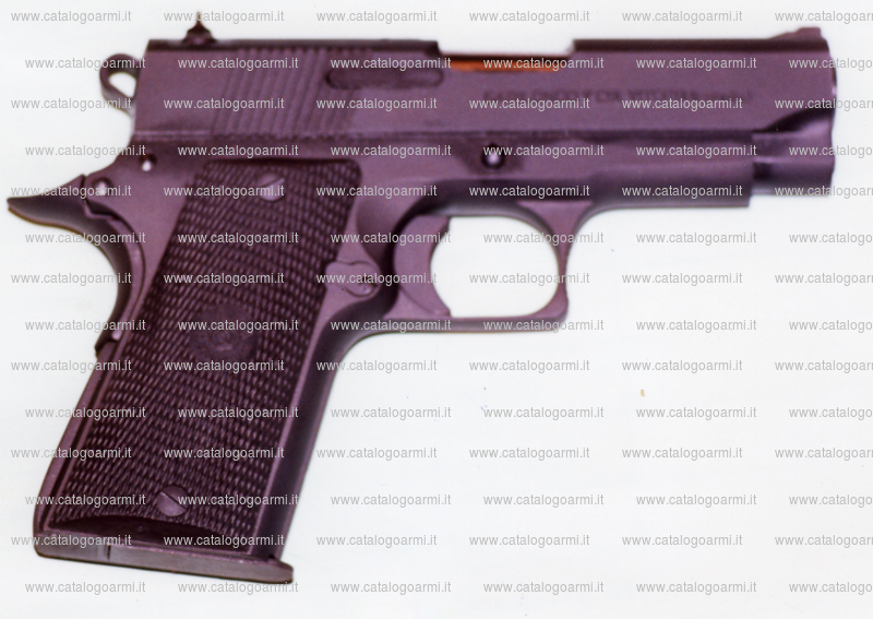 Pistola Llama modello Minimax 40 (finitura brunita, cromata, bicolore) (9819)
