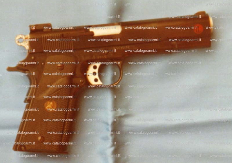 Pistola M.R. New systems Arms modello X 10 Combat (13202)