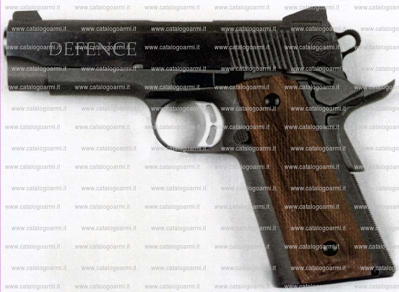 Pistola Mateba modello Defense (12712)