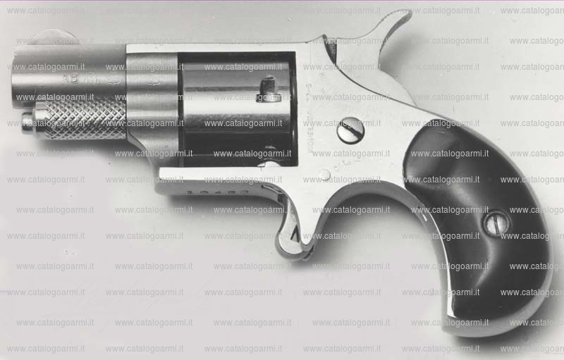 Pistola North American Arms modello NAA 22 mini derringer stainless (369)