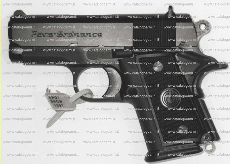 Pistola Para Ordnance modello P 10. 40 (10348)