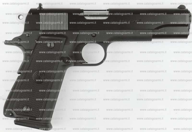 Pistola Para Ordnance modello P 14 (10086)