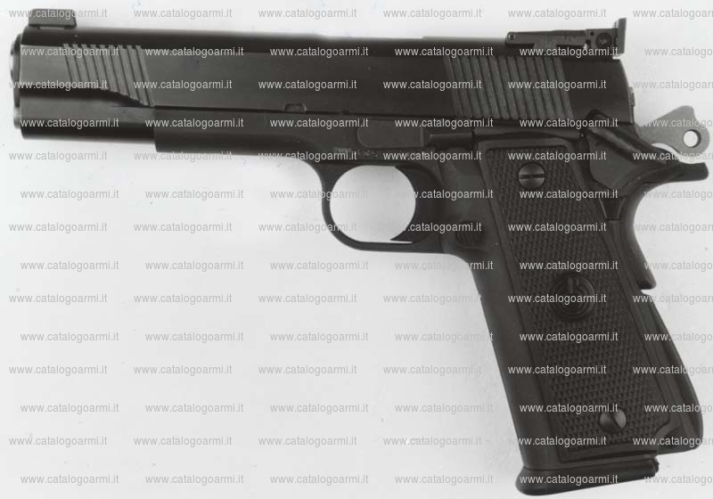 Pistola Para Ordnance modello P 16. 40 Big Target (tacca di mira regolabile) (10163)