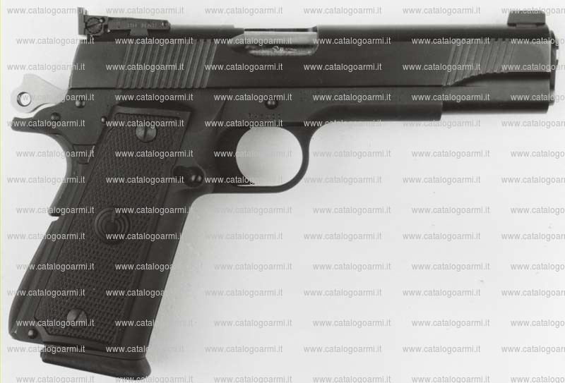 Pistola Para Ordnance modello P 16. 40 Big Target (tacca di mira regolabile) (10163)