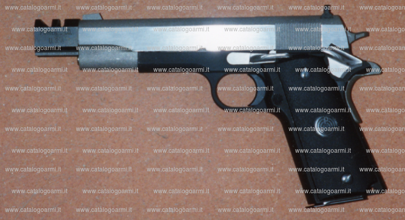 Pistola Para Ordnance modello Power & CO. P. S. (7867)