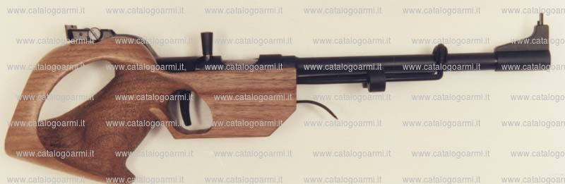 Pistola PARDINI ARMI modello PgP 75 (431)