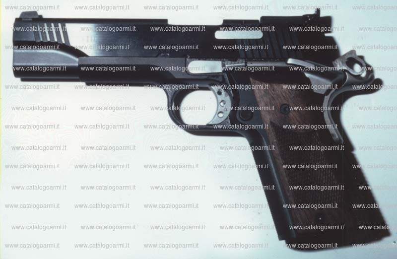 Pistola Peters Stahl modello PSP 2000 match (tacca di mira a regolazione micrometrica) (11254)