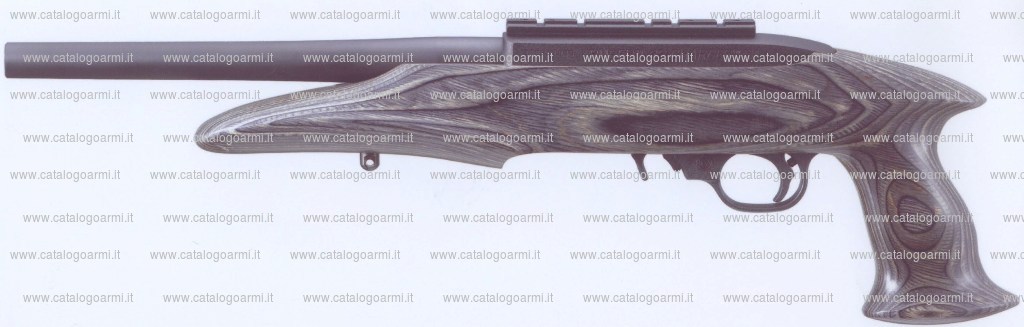 Pistola Ruger modello 22 Charger (18026)