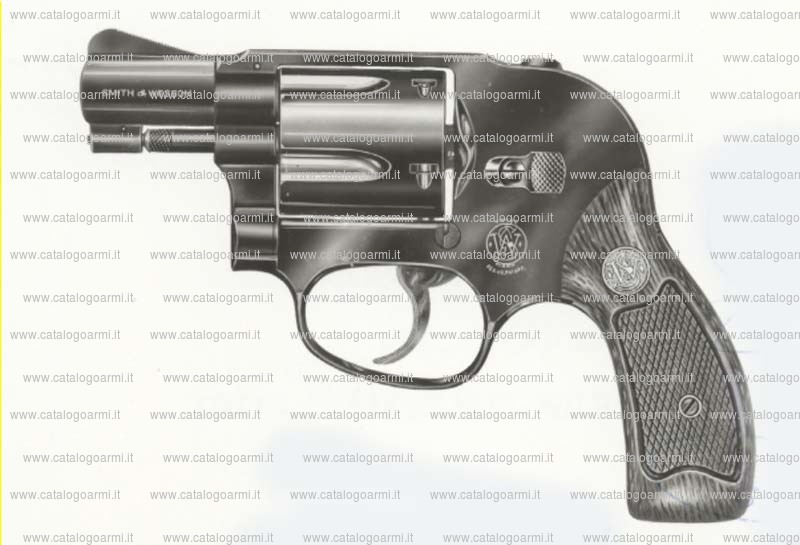 Pistola Smith & Wesson modello 49 Bodyguard (finitura blue) (112)