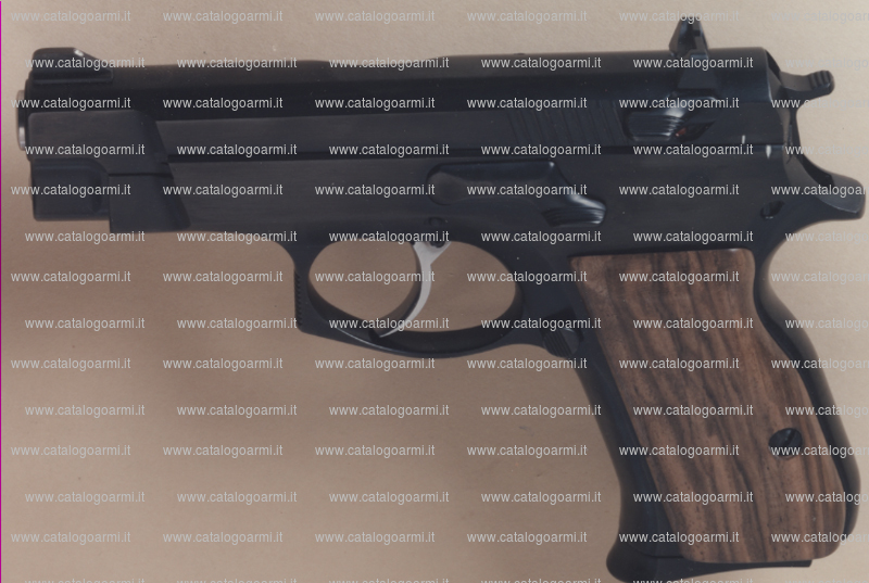 Pistola Societ&Atilde;&nbsp; Armi Bresciane modello Sab RG 91 Compact (4968)