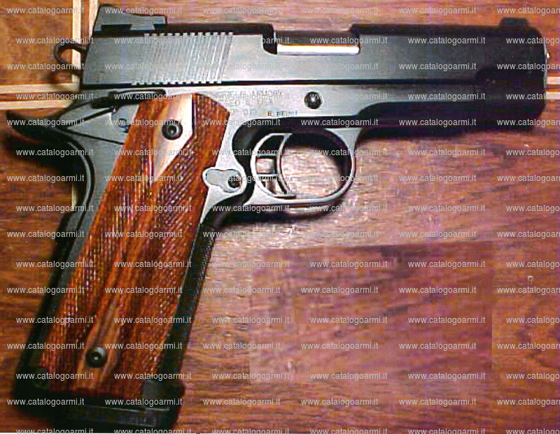 Pistola Springfield Armony modello Heinie (15489)