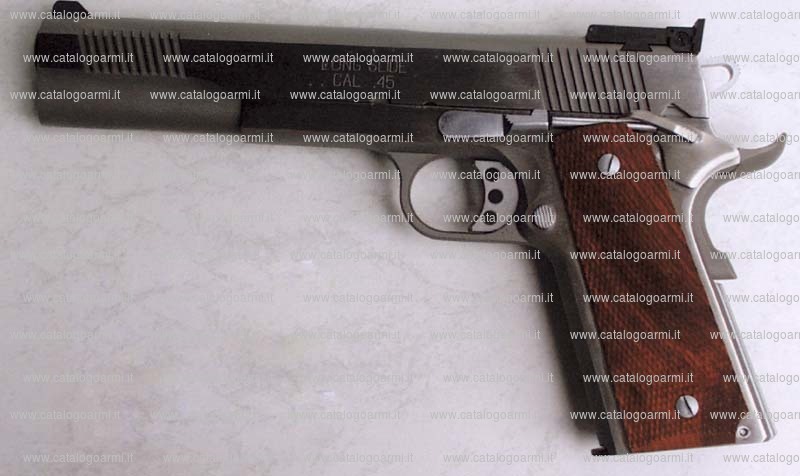 Pistola Springfield Armory modello Long Slide 1911-a1 v16 (mire regolabili) (12375)