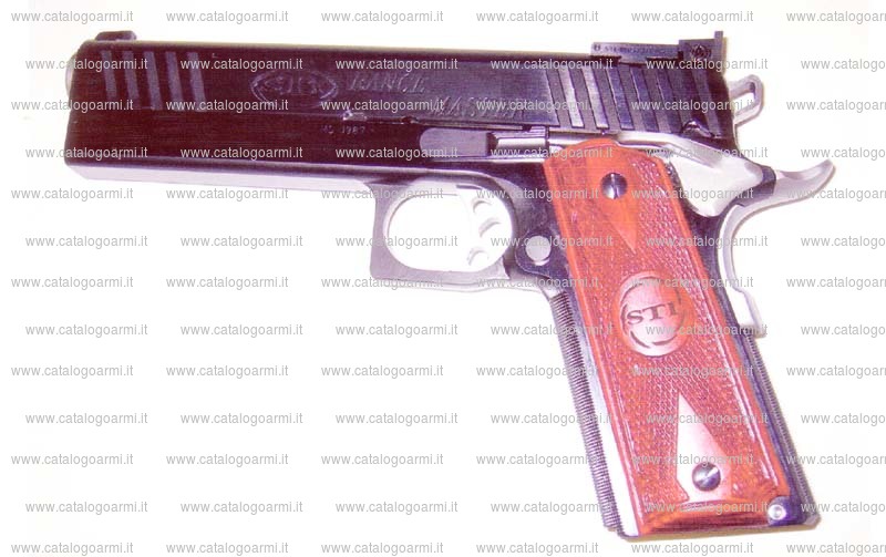 Pistola Sti International modello Range Master ( mire regolabili ) (14476)
