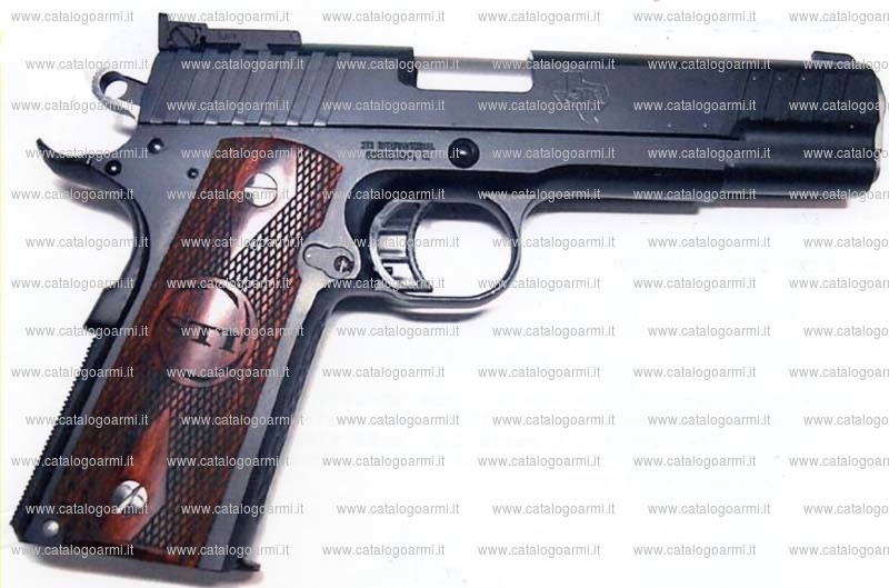 Pistola Sti International modello Trojan (12616)