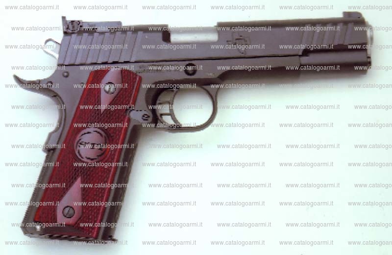 Pistola Sti International modello Trojan (14269)