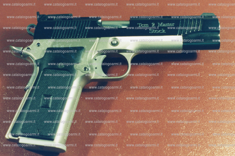 Pistola Tecnema modello TCM 2 Master Stock (tacca di mira micrometrica) (9422)
