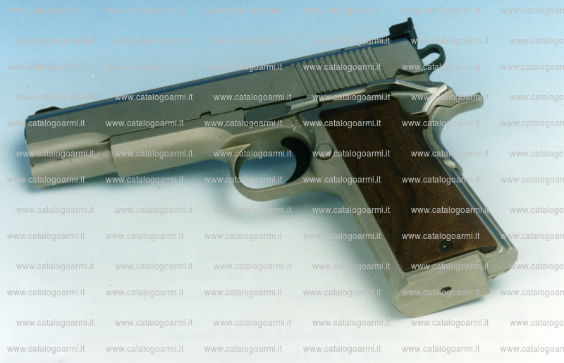 Pistola Tecnema modello TCM 2 Master (tacca di mira micrometrica) (8231)