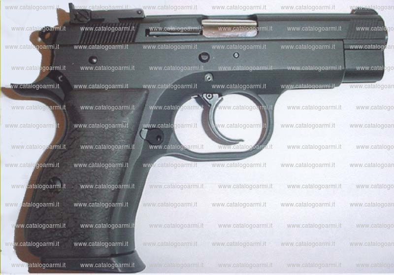 Pistola Bernardelli modello P. ONE mega Compact (14723)