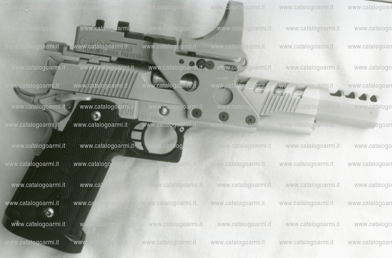Pistola Wayne Bergquist Custom modello Premium 2011 (mirino optoelettronico) (9426)