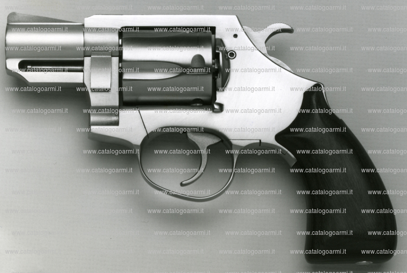 Pistola Wesson firearms modello 738 P (8207)