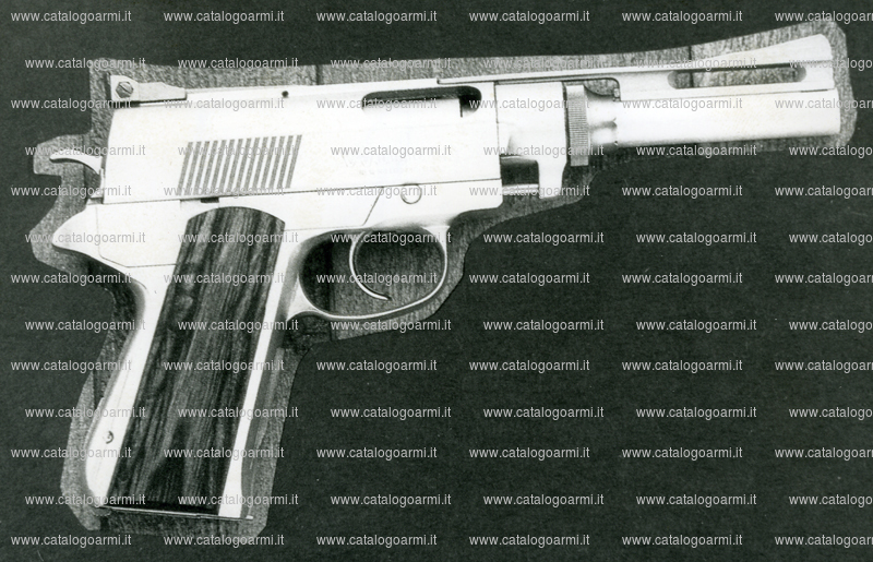 Pistola Wildey modello Wildey Magnum 7 (tacca di mira regolabile) (7413)
