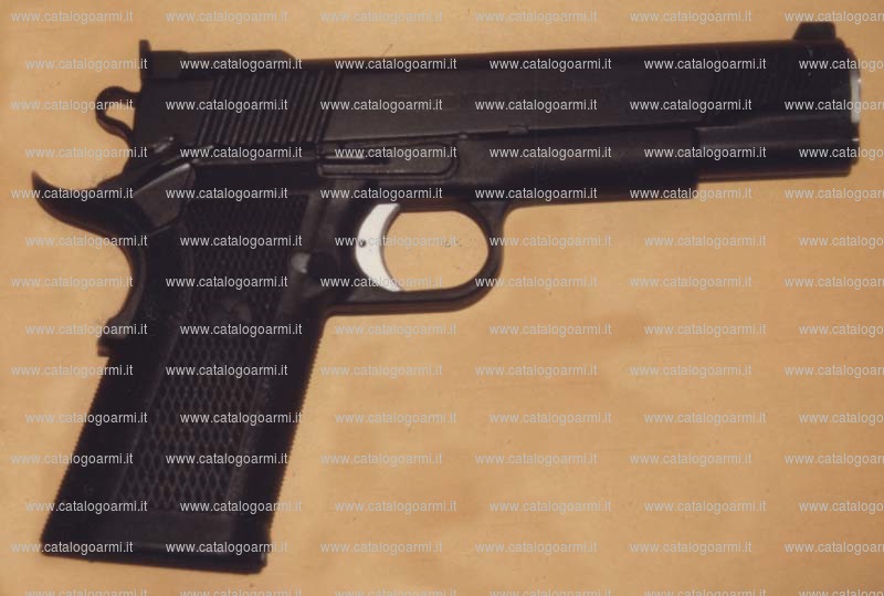 Pistola Wilson combat modello TCP (tactical carry pistol) (11962)