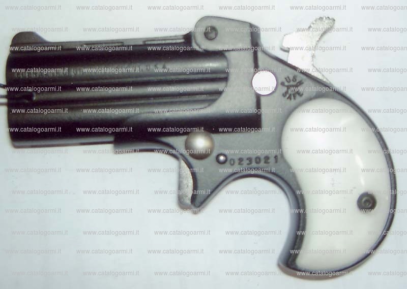 Pistola derringer Cobra Enterprises Inc. modello Derringer (16573)